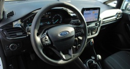 Ford Fiesta 1.0 Ecoboost N1-teretno