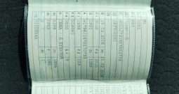 Opel Vivaro 1.6 BiTurbo 2016., putnički 8+1