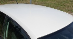 Polo 1.6 TDI, 2010. godina