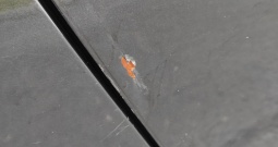 Mazda 3, 1.6 plin - registracija 11/2026