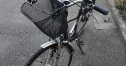 Električni bicikl Mckenzie