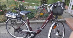 Električni bicikl Mckenzie