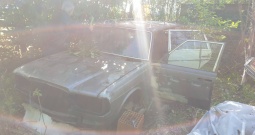 Mercedes 230 TE benzin