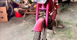 Tomos laura nema papire