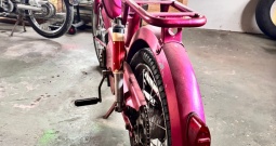 Tomos laura nema papire