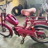 Tomos laura nema papire