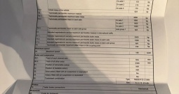 PRIKOLICA 3x1800 kg - odvojiva platforma (mobilne kućice, fast food.)