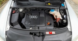 Audi A6 - 2.0 TDI - 103 Kw.