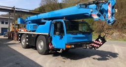 Autodizalica Demag AC 35 4x4 Zamjena Najam, 2003 god.