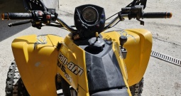 Can am ds 250, 2009.g