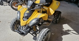 Can am ds 250, 2009.g