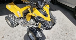 Can am ds 250, 2009.g