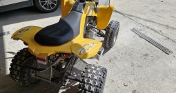 Can am ds 250, 2009.g