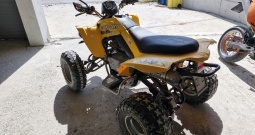 Can am ds 250, 2009.g