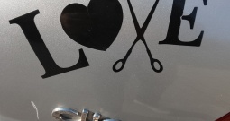 Renault Clio,1.5.DCI .DISEL.Klima Regestriran Nije Uvoz Vlasnica auta