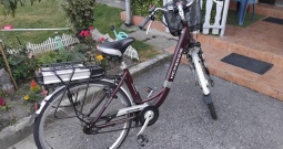 Električni bicikl Mckenzie