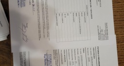 C4 picasso automatik