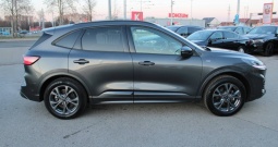 Ford Kuga 2.5 FHEV AWD ST-Line AUTOMATIK