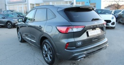 Ford Kuga 2.5 FHEV AWD ST-Line AUTOMATIK
