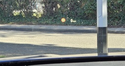 BMW X2 18i sDrive , 23000 KM, REG do 02/27