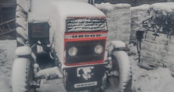 Traktor Ursus 902b