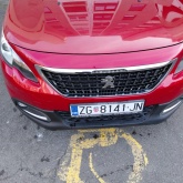 Peugeot 2008 sačuvani