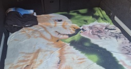 Opel Insignia karavan