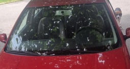 Prodajem Golfa 4 sdi