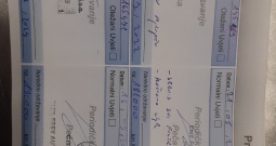 PeugeotT 508 SW 2.0 HDI zamjena