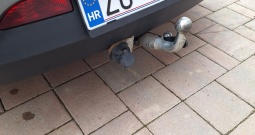 Fiat Bravo 1.6 Jtd,2010god,registriran do 11mj