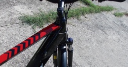 MS energy T10 e-bike