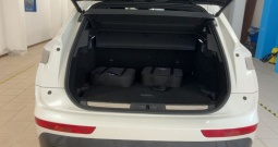 DS7 Crossback E-Tense 225, RIVOLI, SAMO 33.000km, U DOLASKU