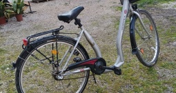 Ženski gradski bicikl sa niskom ramom