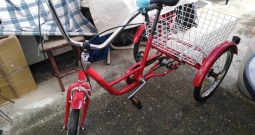 Tricikl Pony 20 cola