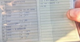 Peugeot 206 1.6 benzin-plin