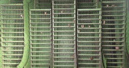 Deutz-Fahr topliner 4065hts