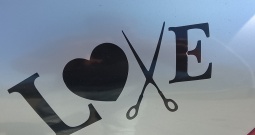 Renault clio 1. 5dci klima vlasnica auta registriran nije uvoz