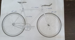 Ženski gradski bicikl sa niskom ramom