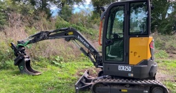 2018 Volvo ECR25D + transportna prikolica