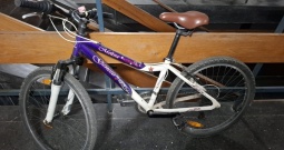 Dječji ženski bicikl Genesis Melissa 24"