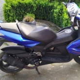 Peugeot Jet Force, 2008. godište