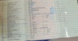 Lancia Ypsilon 1,2 Gold