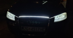 Audi A3 Sportback 1,9 TDi, odlično stanje, 2x alu 16"reg. 01/2027