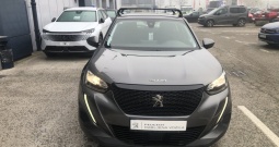 Peugeot 2008 active 1,2 puretech 100