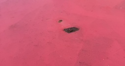 Kia s malo kilometara, garažirana, nereg.