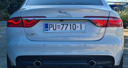 Jaguar XF 3.0 D Prestige (zamjena za SUV)