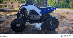 Yamaha raptor 90