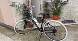 Orbea sport 30