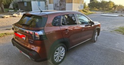 Suzuki s cross