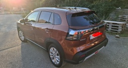 Suzuki s cross